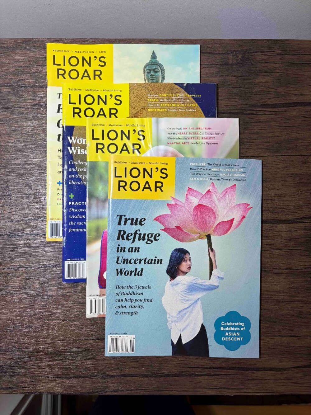 Lion's Roar Magazine 2023 2024 Lot of 4
